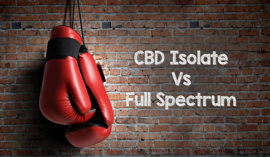 CBD Isolate vs Full Spectrum
